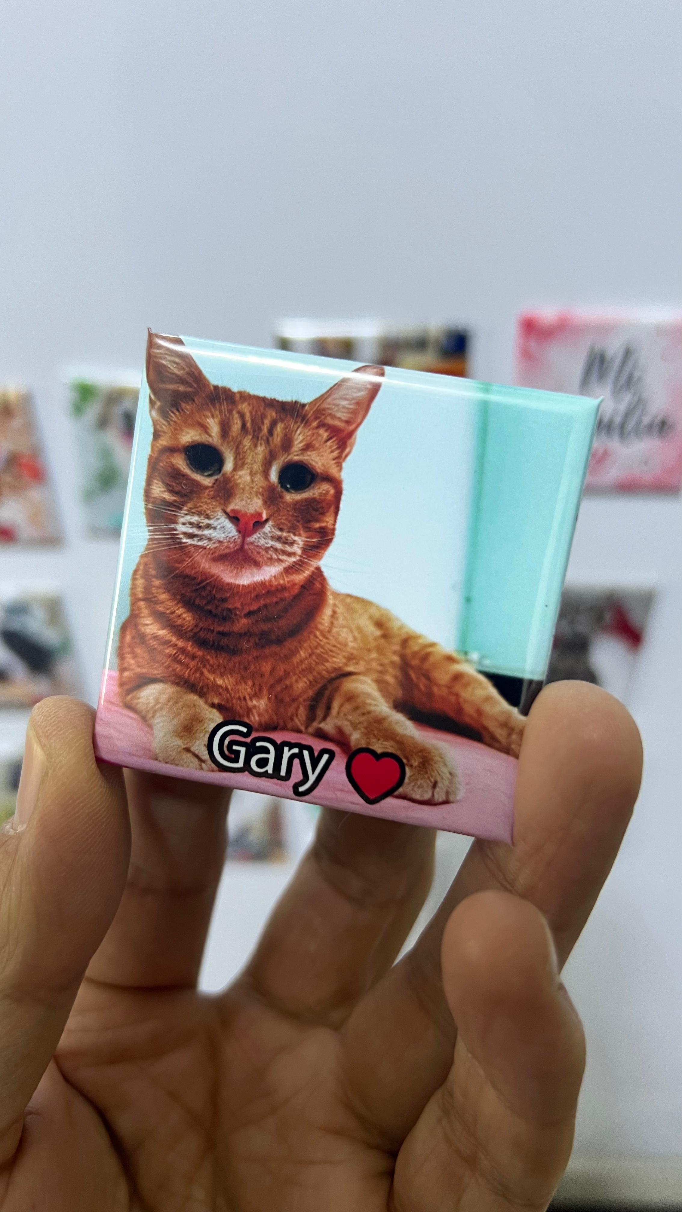 Pack 26 fotoimanes personalizados