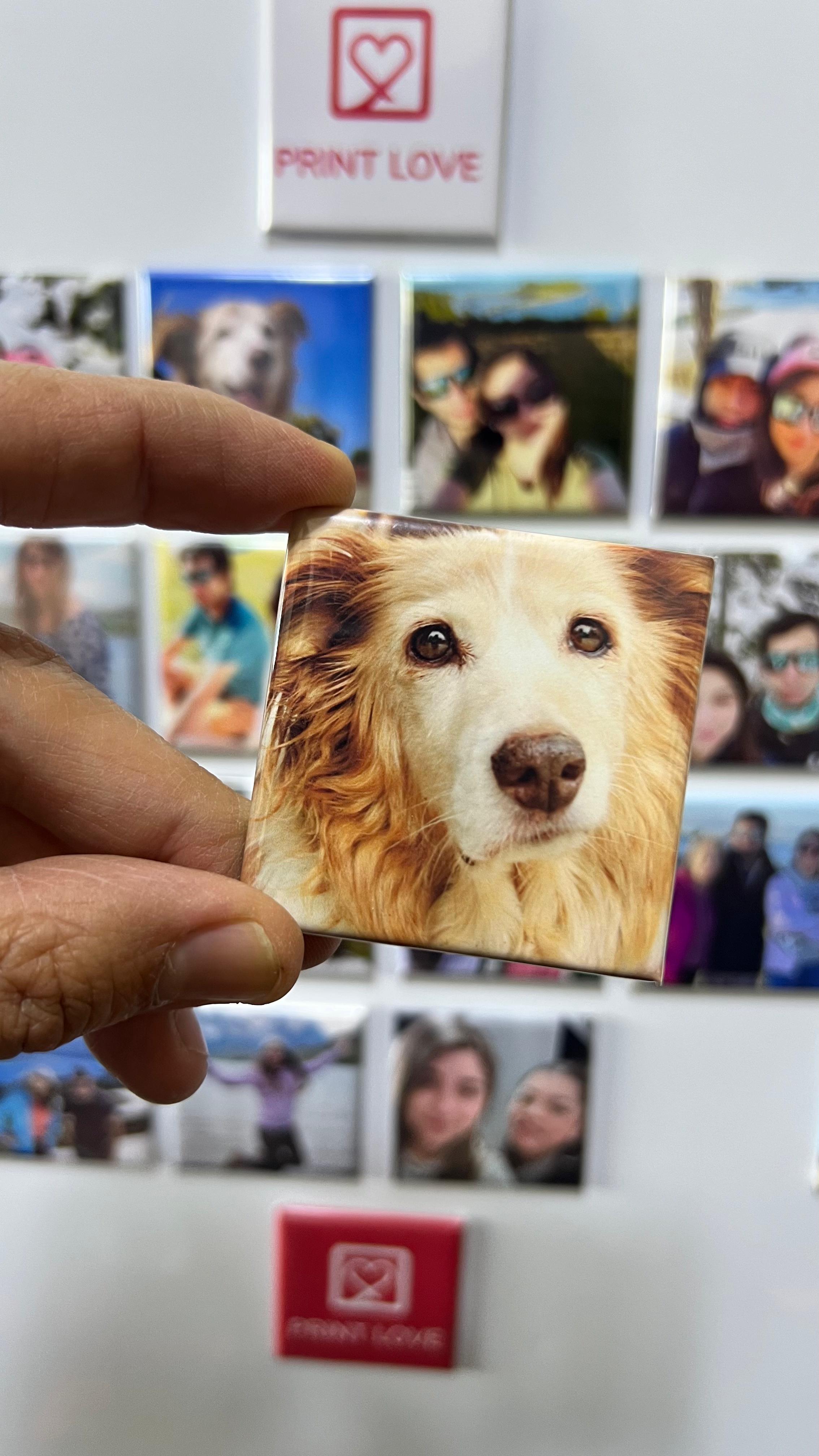 Fotoiman de mascota PrintLove