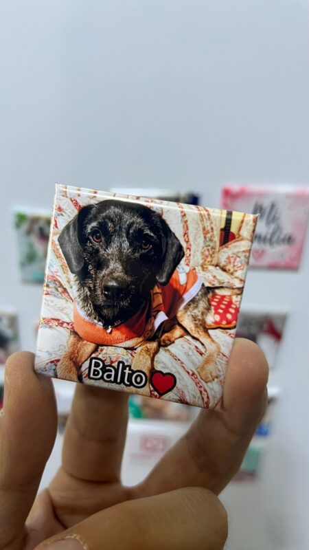 Como elegir las mejores fotos para imanes personalizados